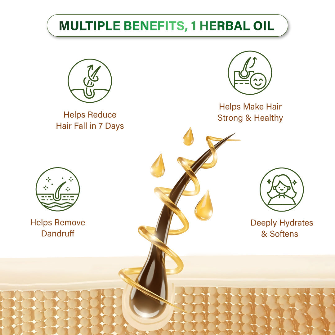 Niconi Herbal Hair Oil 200ml (B2B)