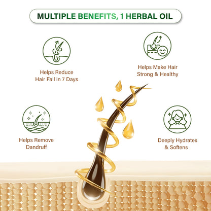 Niconi Herbal Hair Oil 200ml (B2B)