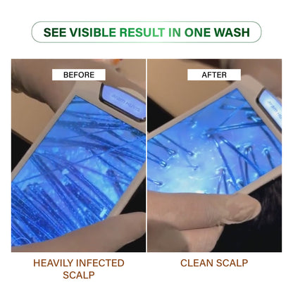 Niconi Herbal Hair Oil 200ml (B2B)